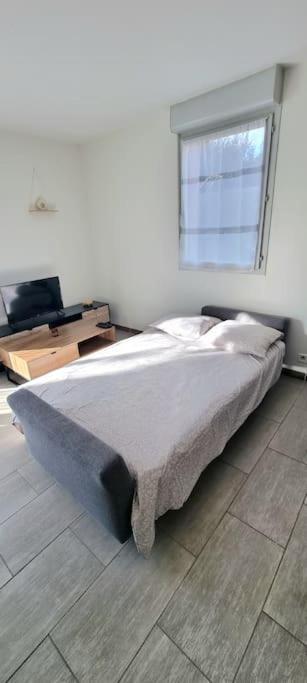 Апартаменти T2 Pool & Terrasse - Parking - Metro - Wifi Тулуза Екстер'єр фото
