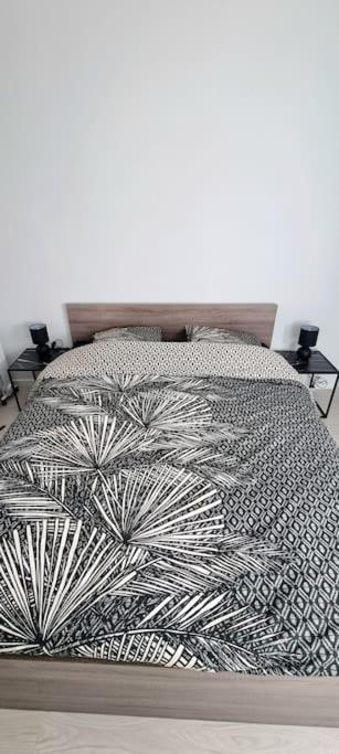 Апартаменти T2 Pool & Terrasse - Parking - Metro - Wifi Тулуза Екстер'єр фото