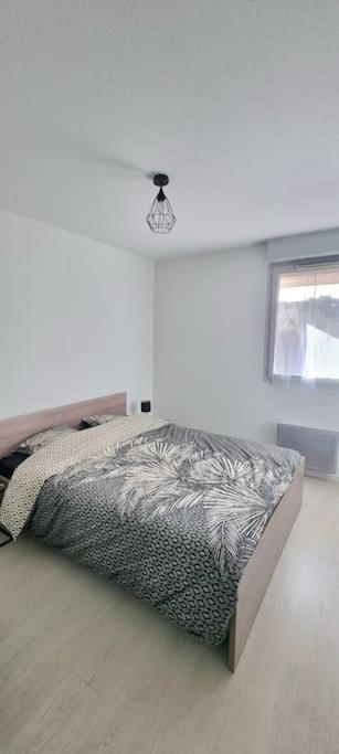 Апартаменти T2 Pool & Terrasse - Parking - Metro - Wifi Тулуза Екстер'єр фото